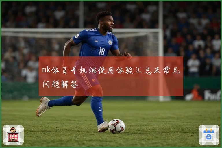 mk体育手机端使用体验汇总及常见问题解答