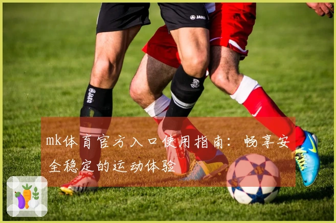 mk体育官方入口使用指南：畅享安全稳定的运动体验